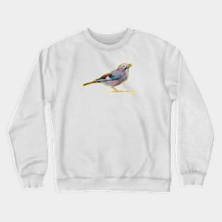 Go Jay! Crewneck Sweatshirt